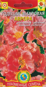 Годеция махровая Аврора купить