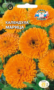 Календула Марица купить