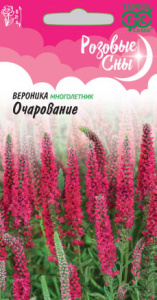 Вероника Очарование длиннолистная Розовые сны  купить