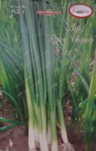 Лук Грин Банер/1шт, батун купить