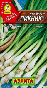 Лук Пикник, батун купить