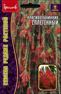 Красивотычинник Сплетенный купить