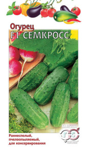 Огурец Семкросс F1 купить