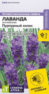 Лаванда Пурпурный колос английская купить