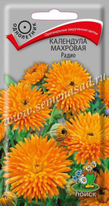 Календула махровая Радио купить