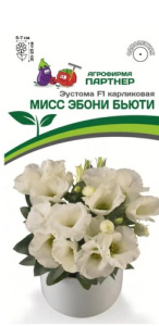 Эустома Мисс F1 Эбони Бьютти карлик. айвори купить