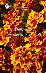 Бархатцы Золотая Хохлома/1шт купить