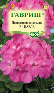 Пеларгония Павла F1 купить