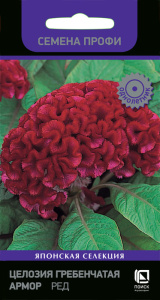 Целозия гребенчатая Армор Ред  купить