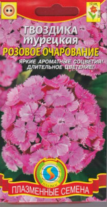 Гвоздика Розовое очарование турецкая купить