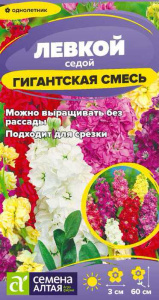 Левкой Гигантская Смесь окрасок  купить