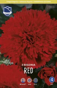 Бегония Fimbriata RED  /3шт  купить