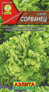 Салат Сорванец листовой  купить