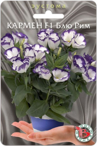 Эустома (лизиантус) горшечная Кармен F1 Блю Рим купить