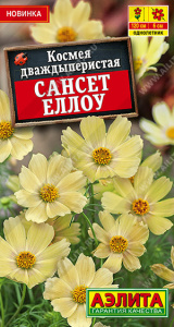 Космея Сансет еллоу купить