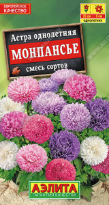 Астра Монпасье. смесь карликовая купить
