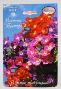 Вербена Восторг/1шт купить