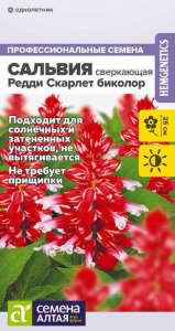 Сальвия Редди Скарлет биколор сверкающая купить