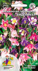 Аквилегия Бидермеер гибридая купить
