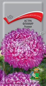 Астра Фламир Розовая купить