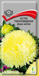 Астра Дюшес желтая пионовидная купить