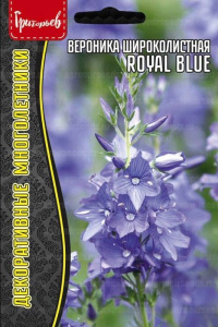 Вероника Royal Blue широколистная  купить