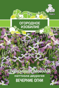 Маттиола двурогая Вечерние огни (ОИ) купить