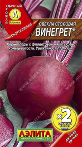 Свекла Винегрет купить