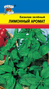 Базилик Лимонный аромат  купить