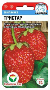 Земляника Тристар  купить