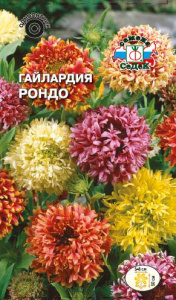 Гайлардия Рондо  купить