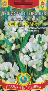 Душистый горошек Белый жемчуг купить