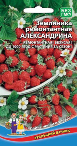 Земляника Александрия купить