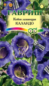 Кобея Каландо лазающая купить