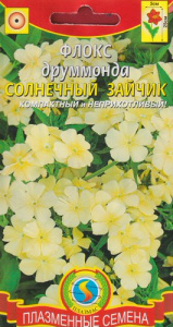 Флокс друммонда Солнечный зайчик  купить