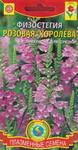 Физостегия Розовая Королева  купить