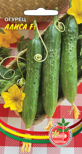 Огурец Алиса F1 купить