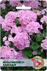 Пеларгония зональная Мультиблум F1 Лавандер купить