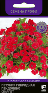 Петуния Пендолино F1 Скарлет  купить