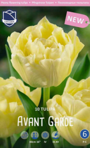Тюльпан Авант Гард /10шт купить