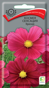Космея Сенсация Красная купить