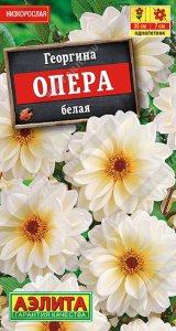 Георгина Опера белая купить