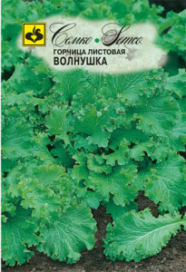 Горчица Волнушка  купить