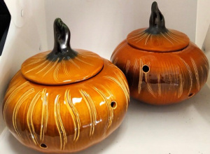 Банка д/корнепл. Лук купить