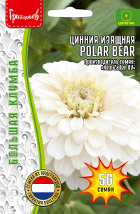 Цинния Polar Bear изящная купить