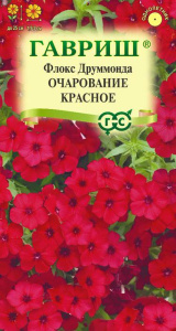 Флокс Очарование красное друммонда купить