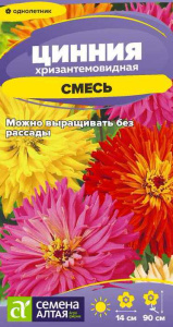 Цинния Хризантемовидная смесь купить