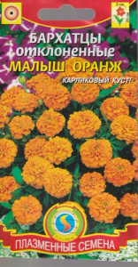 Бархатцы Малыш Оранж откл. купить