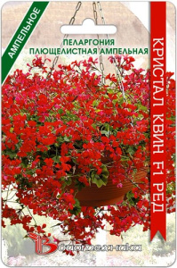 Пеларгония плющелистная ампельная Кристал Квин F1 Ред купить
