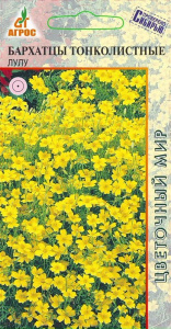 Бархатцы Лу Лу купить